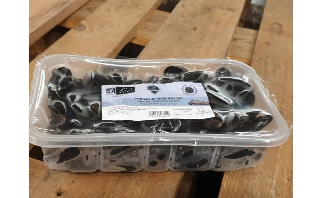 Moule de Bouchot Saint Kerber - huitre et moule en ligne