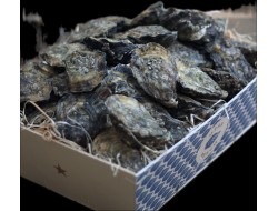 Huîtres Utah Beach "by Gillardeau"