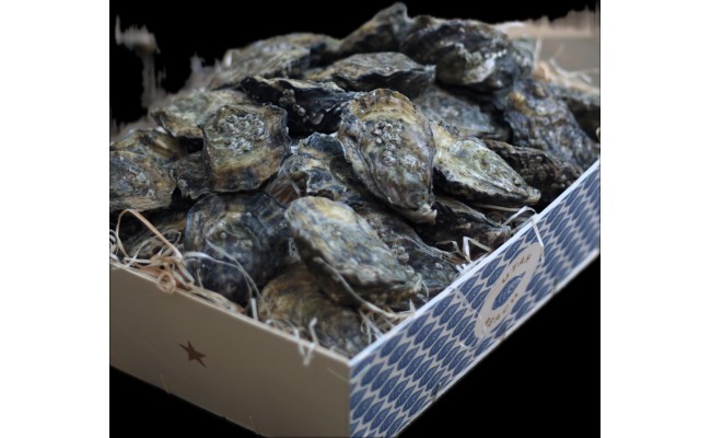 Huîtres Utah Beach "by Gillardeau"