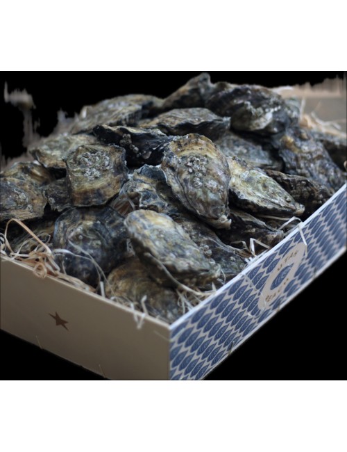 Huîtres Utah Beach "by Gillardeau"