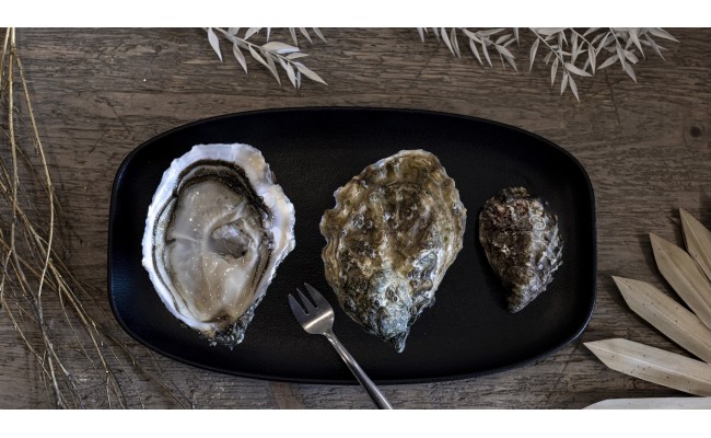 Huître spéciale Giga Oyster By Gillardeau