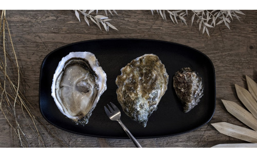 Huître spéciale Giga Oyster By Gillardeau
