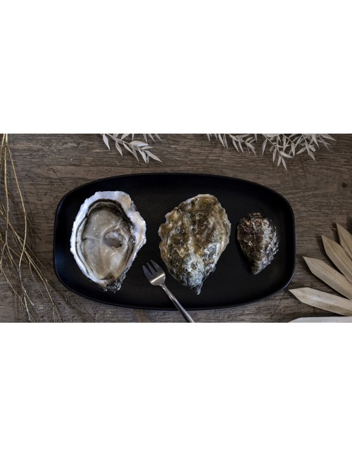 Huître spéciale Giga Oyster By Gillardeau
