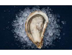 Huîtres spéciales du Cap Ferret