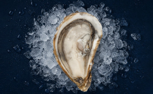 Huîtres spéciales du Cap Ferret