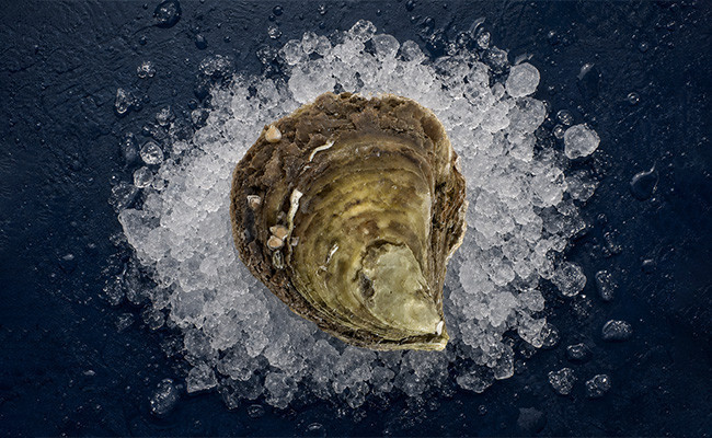 Huître Plate  Paimpol Chaumard -Huitre en Ligne