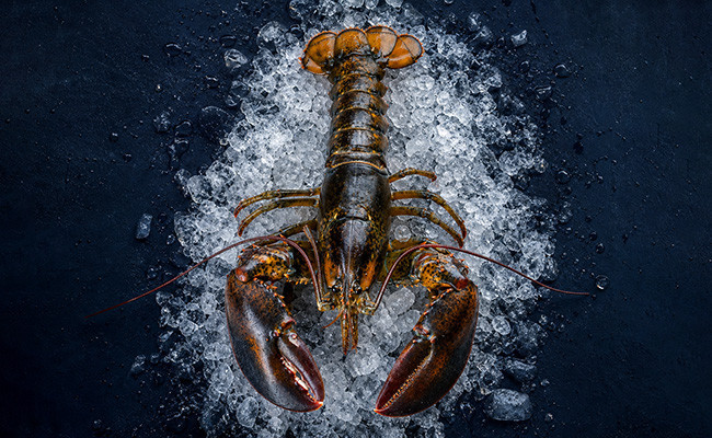 Homard Bretons Parc Saint Kerber - vente en ligne homard vivant