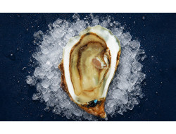 Huitres "Aphrodite maison Suire