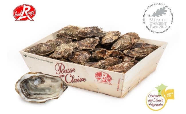 Huitres Spéciales Pousse en Claire Label Rouge Maison Suire