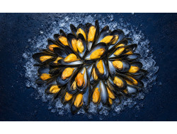 Moule de Bouchot Saint Kerber - huitre et moule en ligne