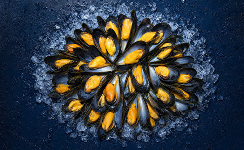 Moule de Bouchot Saint Kerber - huitre et moule en ligne
