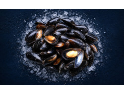 Moule de Bouchot Saint Kerber - huitre et moule en ligne
