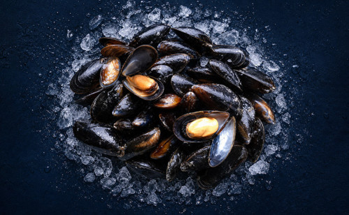 Moule de Bouchot Saint Kerber - huitre et moule en ligne
