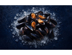Moule de Bouchot Saint Kerber - huitre et moule en ligne
