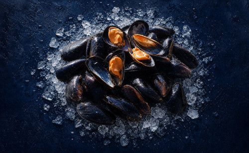 Moule de Bouchot Saint Kerber - huitre et moule en ligne