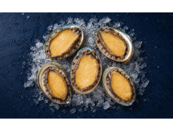 Ormeaux sauvages de Saint Kerber - vente en ligne d' huitre et d' Ormeaux