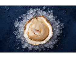 Huitre Plate de Cancale
