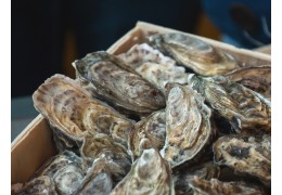Huitre santé, un coquillage riche en minéraux et en éléments nutritifs