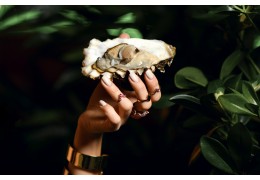 Quelles sont les valeurs nutritives des huîtres ?