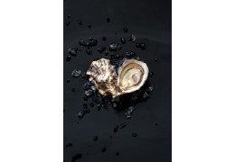 Tout savoir sur l’huitre aphrodisiaque