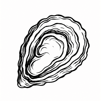 Recette de Moules, Coquillages, Crustacés
