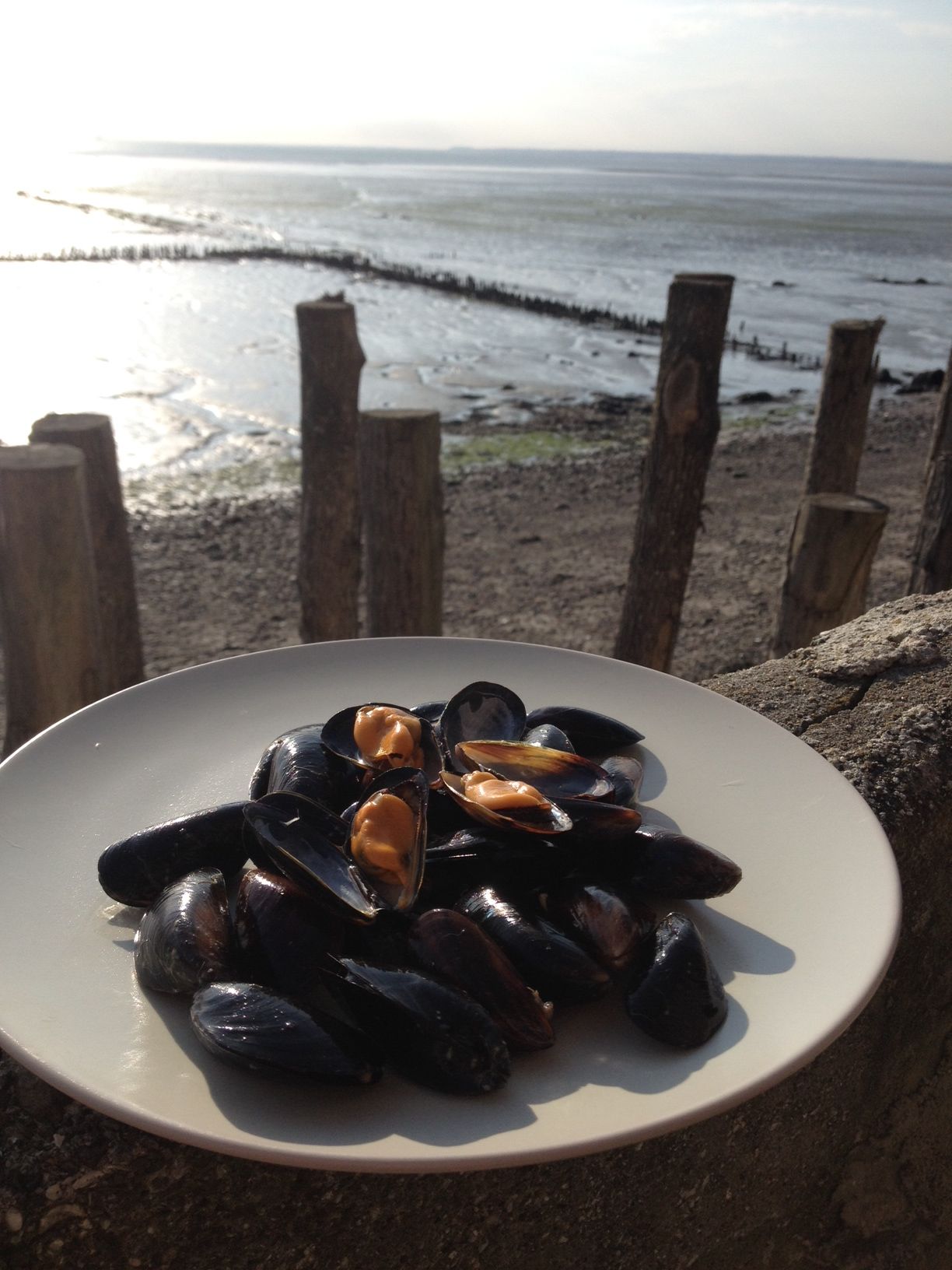 Moules du Mont-Saint-Michel à la Crème,  Cidre et Échalotes Confites