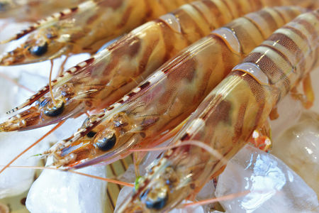 Crevettes Impériales à l’Ail et au Persil  à la Plancha