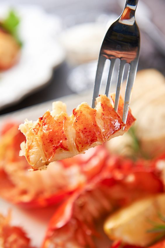 Tartare de homard breton et avocat et citron